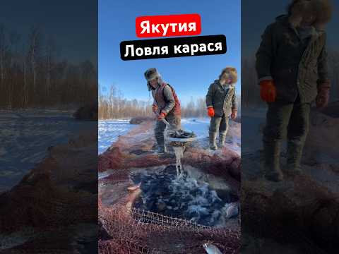 Якутия. Традиционная рыбалка на карася (Мунха) Тонна карася за один заход