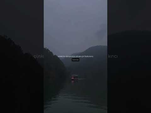 Ne kadar ince düşünürsen kırılırsın ❤️🩹 #hassasiyet #kalp #düşünce #insan #sevgili #dünya #news24