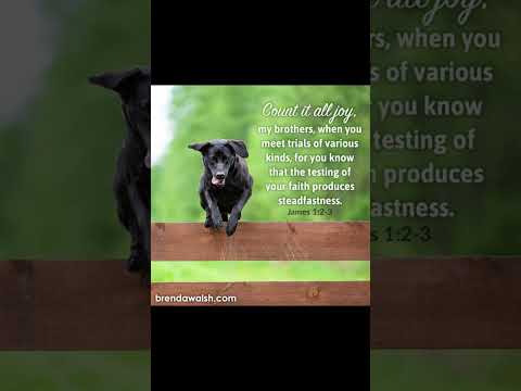 #worshipmusic #gospelmusic #christianmusic #christiansongs #dailybibleverse #dog #dailybibleverse