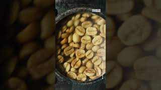Why Has No One Roasted Coffee Like This Before?