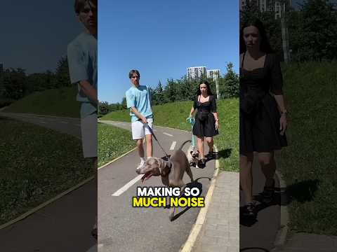 A walk in the park with Sonu and Monu #shortvideo