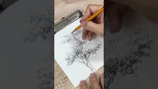 Cách vẽ cây đơn giản | How to draw a simple tree