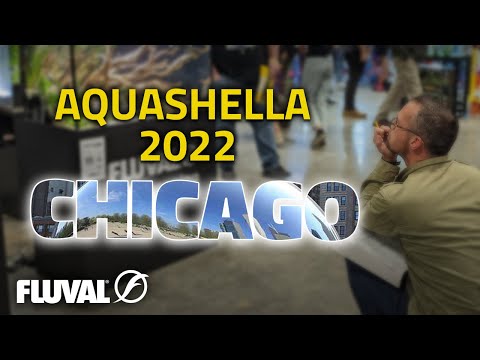 Aquashella Chicago 2022 | AQUASCAPING HIGHLIGHTS