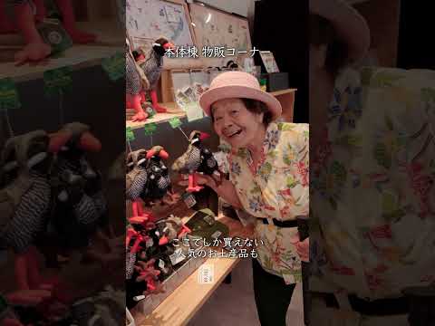 沖縄の大自然を満喫できる道の駅「やんばるパイナップルの丘 安波」へ行ってきました #沖縄 #国頭村 #やんばる #pr