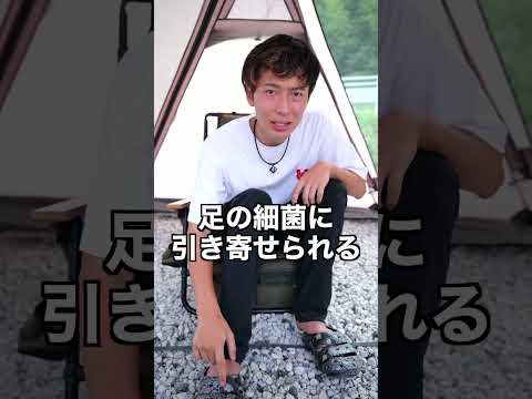 【知らなと大損】虫に刺されやすい人の特徴