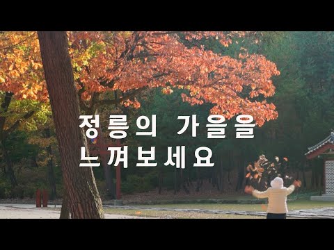 정릉의가을,아름다운 단풍 감상