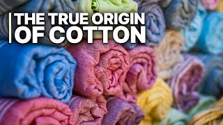 The True Origin of Cotton | The Dirty Secret Behind 'Ethical' Cotton Labels