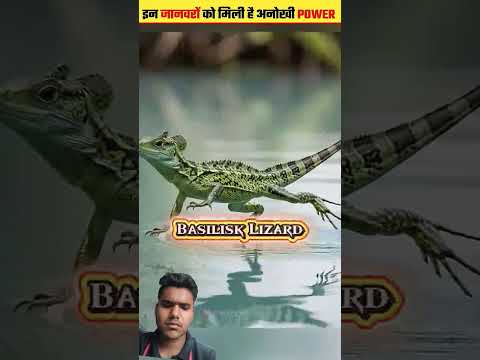 इन जानवरों को मिली है अनोखी पावर 😮😮 #facts #amazingfacts #animalfacts #factsinhindi #animals