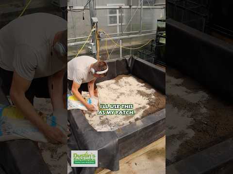 Dirting And Planting An 8' by 8' Basin of Vallisne SOME OF THE BEST ADVICE I CAN GIVE ABOUT THE PLANTED AQUARIUM! Check this out! Dirting and Planting 