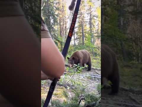 Чуть не схватил! Опасная встреча с медведем" #shorts #shortsviral #shortsfeed #bearhunting