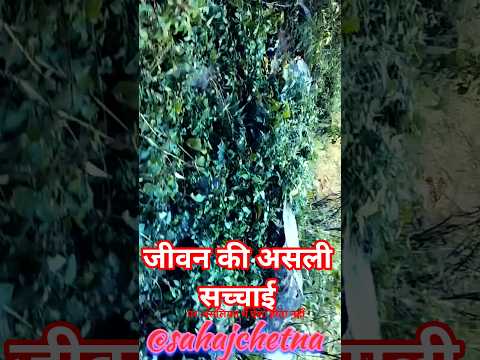 जीवन की असली सच्चाई।। @sahajchetna #विज्ञान #nature#motivation #ओशोविज़न #love #survival #duet