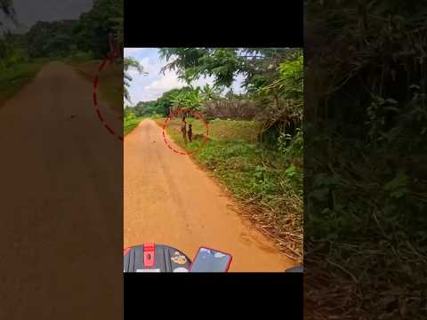 Friends Yehi Cheez Aap Apne Kids Ko Sikhao 👏 | #islamic