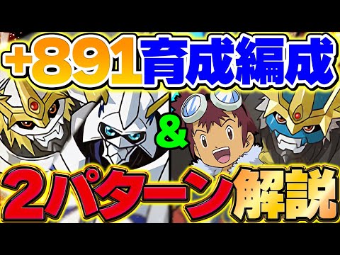 インペリアルドラモン&オメガモンを5体同時に+891育成！これが一番早いと思います！+限界突破コロシアム【パズドラ】