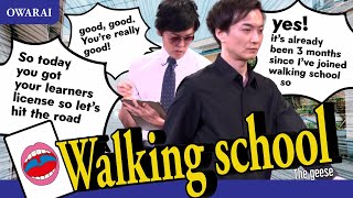 Walking school/THE GEESE
