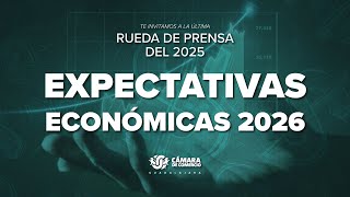 Balance Económico 2025 y Perspectivas 2026