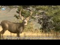 Endangered Species Act Overview