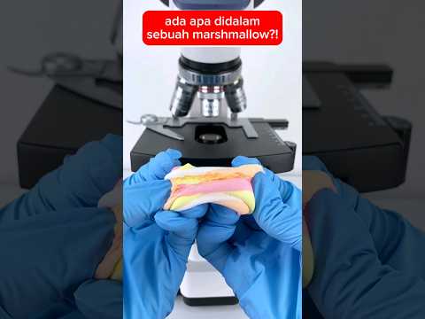 Melihat Marshmallow dengan mikroskop🤤 #fakta #faktaunik #viralvideo