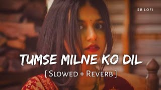 Tumse Milne Ko Dil Karta Hai (Slowed + Reverb) | Kumar Sanu, Alka Yagnik | SR Lofi