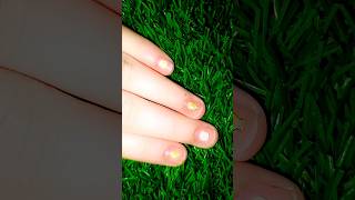 Cute, playful & unique food nail art#CuteNailArt#KawaiiNails#BreadNails#DonutNails#BottleNails#NailI