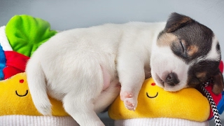 Luồng trực tiếp của TENNIS HD