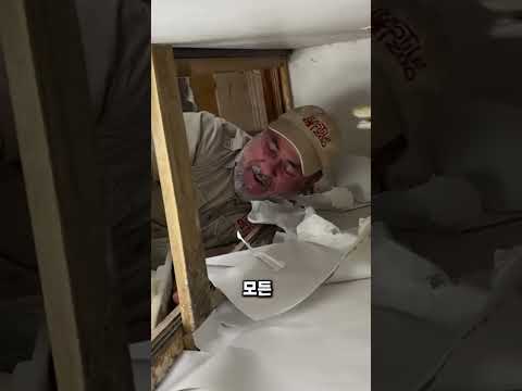 어미 뱀이 180도 돌변하는 단 하나의 스위치는?
