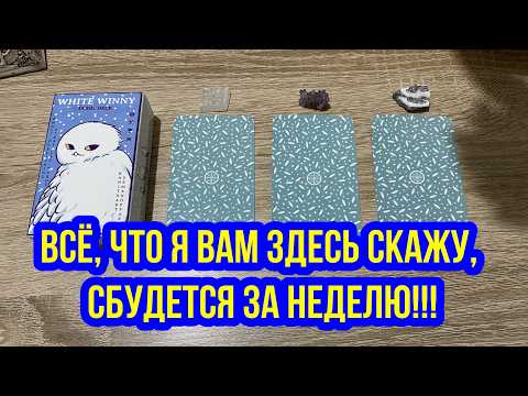 💯 Всё, что я вам здесь скажу, сбудется за неделю‼️ гадание на таро Tarot Reading