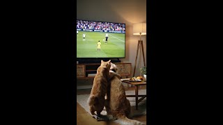 Samsung TV Plus | Samsung