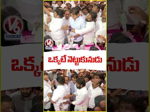 ఒక్కటే నెట్టుకునుడు | KCR Birthday Celebration | V6 News