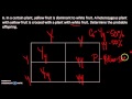 Genetic Crosses and Punnett Squares