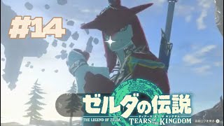 これが見られたのでもう満足です【ゼルダの伝説TotK #14】