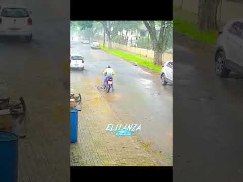 La traición 🐀 #viralvideo