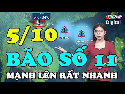 Dự báo thời tiết đêm nay và ngày mai 5/10 | CẢNH BÁO: Bão số 11 áp sát Bắc Bộ RẤT NHANH, RẤT MẠNH
