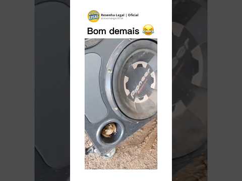 FÃ DE CHICOTE DE LUXO 🐸