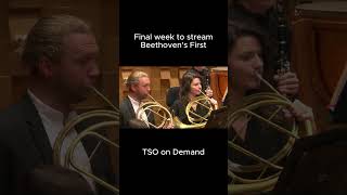 Beethoven's First on TSO on Demand