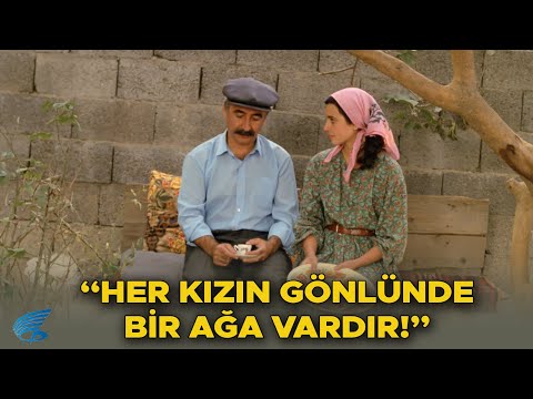 Züğürt Ağa Türk Filmi | Kiraz, Ağaya Sevdalanıyor