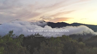 TiredPonyVEVO Live Stream