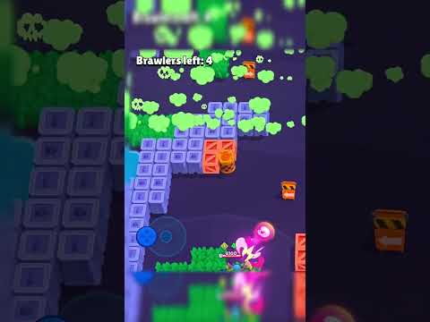 Stu Rushed Shelly Close Range😱