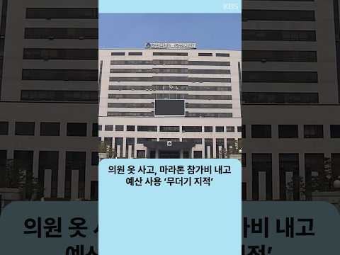 의원 옷 사고, 마라톤 참가비 내고…예산 사용 ‘무더기 지적’ | 자막뉴스