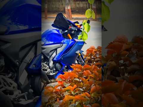SYSTUMM Hang...#systummm #hang #viralvideo #viralshorts #yamaha #r15v4 #motorcycle #rider #bikelover