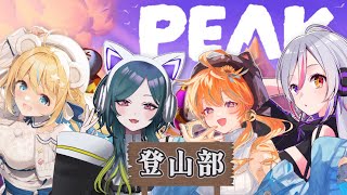 【 #peak  】女子会登山部【天乃瀬こおり/ナズ=シア/まぐねっこ・つなかん/LuKia/AbyssDIVA/VTuber】