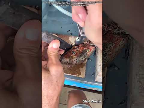 보석의 탄생: 조개 속 흑진주 채취 및 정밀 천공 가공 현장 #worker #process #pearl #jewelry #crafting