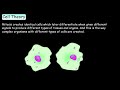 Cell Structure and Function Concepts