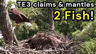 TE3 claims & mantles 2 Fish! 6/28/25 - Mrs. T of Trempealeau, WI