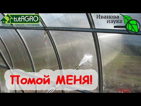 Вот как просто обработать теплицу и почву после томатов и огурцов! Без хлорки, перекиси и уксуса!