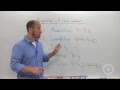 Exploring the Properties of Real Numbers
