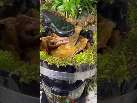 I Turned My Coffee Maker Into An Ecosystem (That Actually Brews)