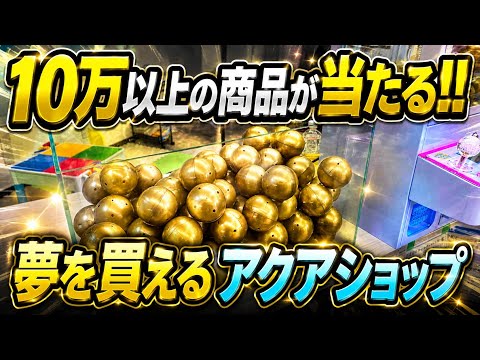 夢が買える‼イベントが凄すぎる奇跡のアクアショップ‼ AQUA Revelation J.B. アクアリウム 闇ガチャ aquarium 熱帯魚 水草 熱帯植物 レイアウト ADA