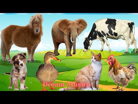 Wild Animals Compilation: Horse, Elephant, Cow, Dog, Duck, Cat, Rooster - Animal Videos