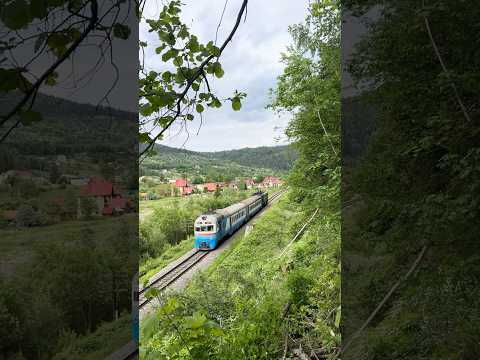 Д1-801 з 2ТЕ10М-3209Б їде рейсом №6442 Ділове - Коломия #укрзалізниця #поїзд #train #потяг #railway
