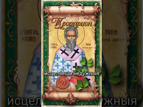 29 июня Свт. Тихон Амафунтский (425г)
